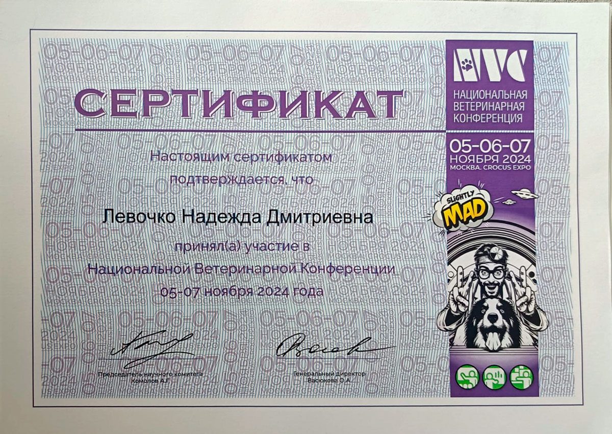 Документ или сертификат