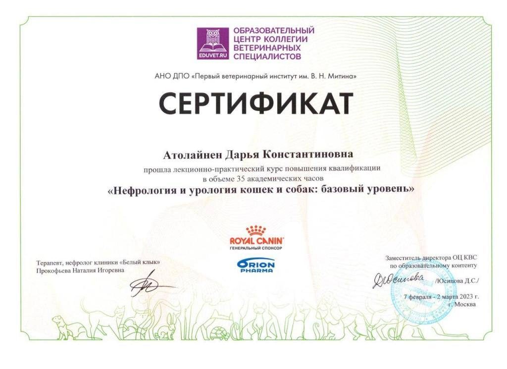 Документ или сертификат