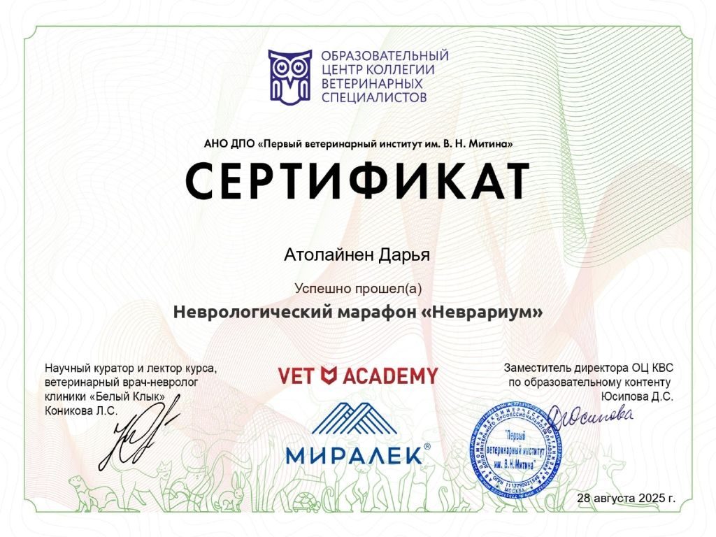 Документ или сертификат
