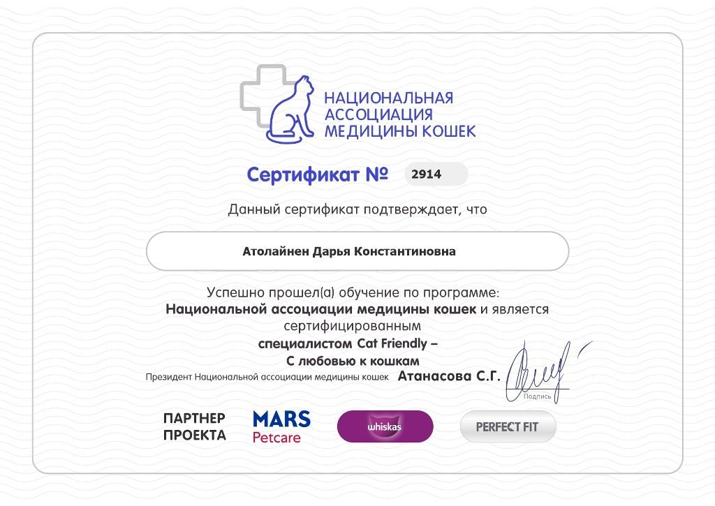 Документ или сертификат