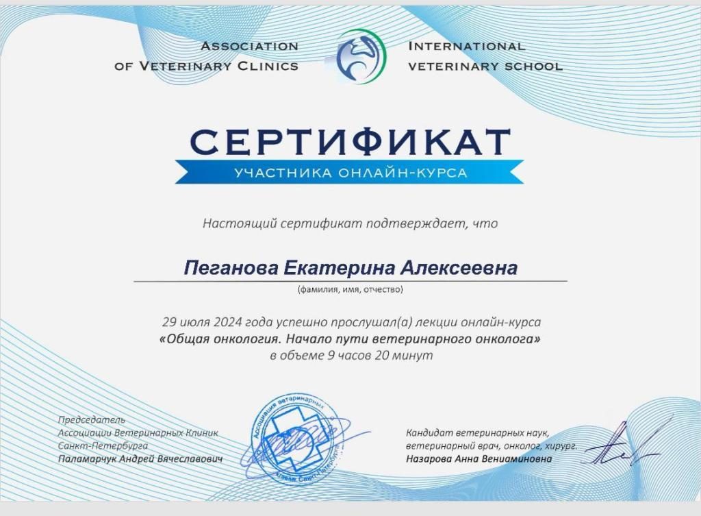 Документ или сертификат