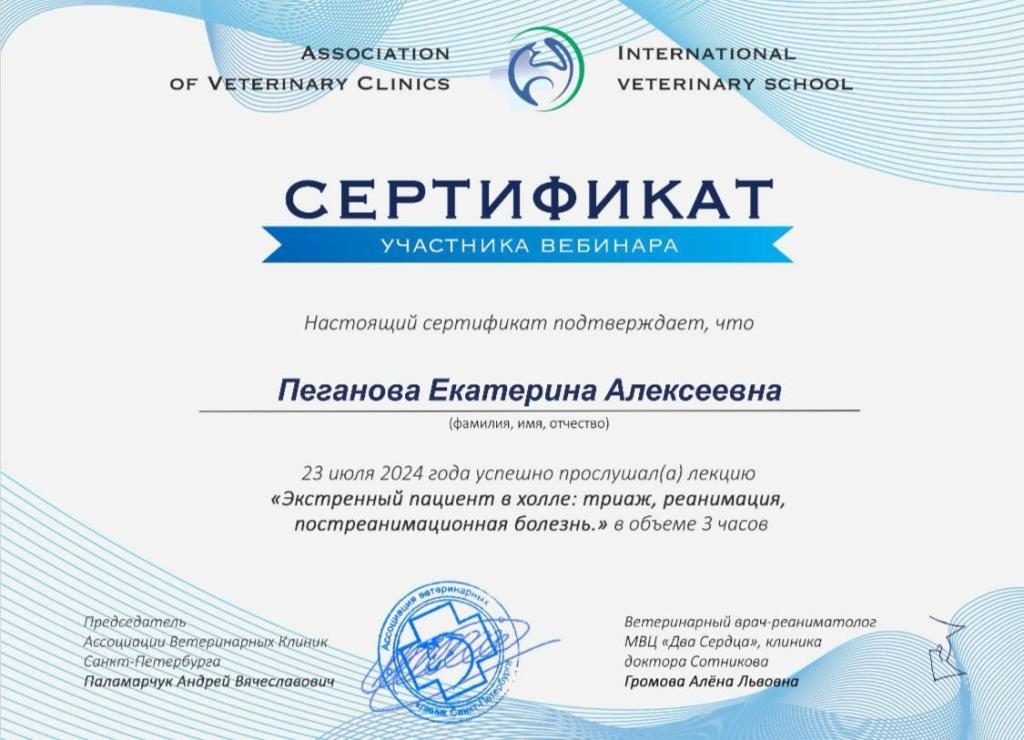 Документ или сертификат
