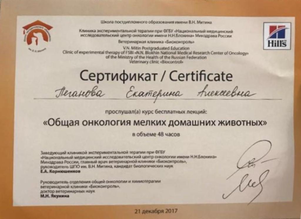 Документ или сертификат
