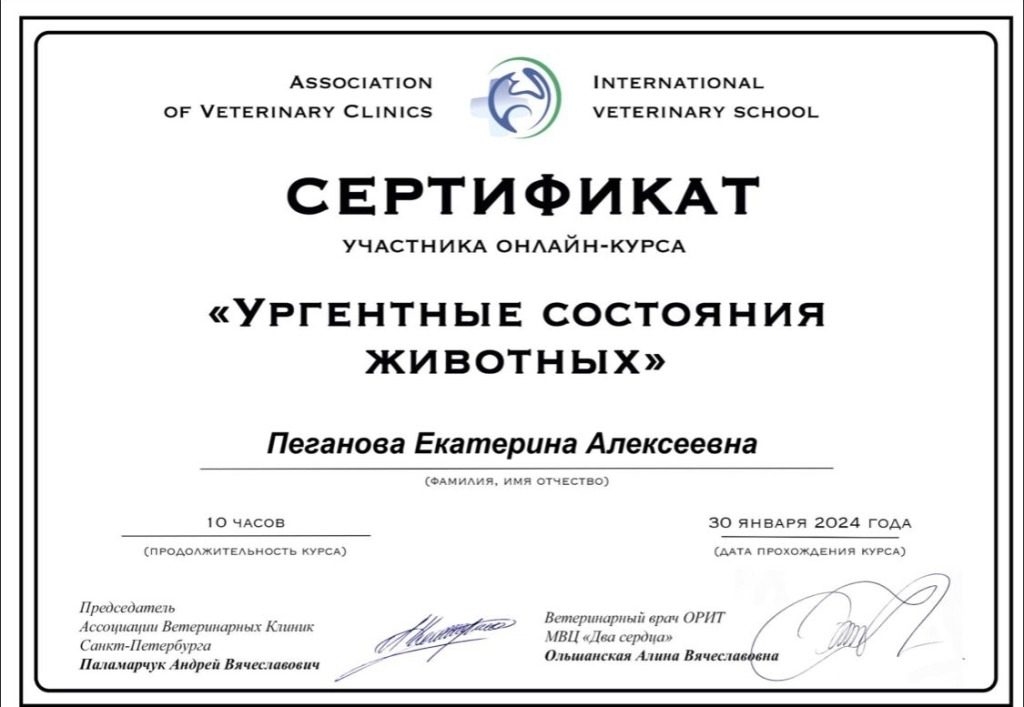 Документ или сертификат