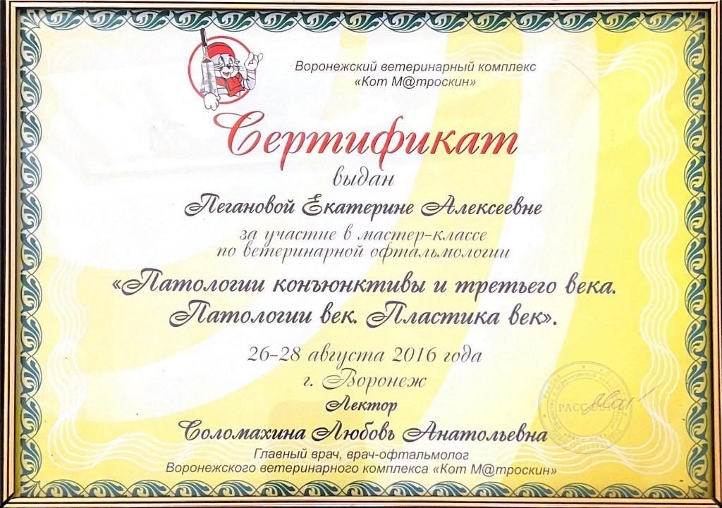 Документ или сертификат