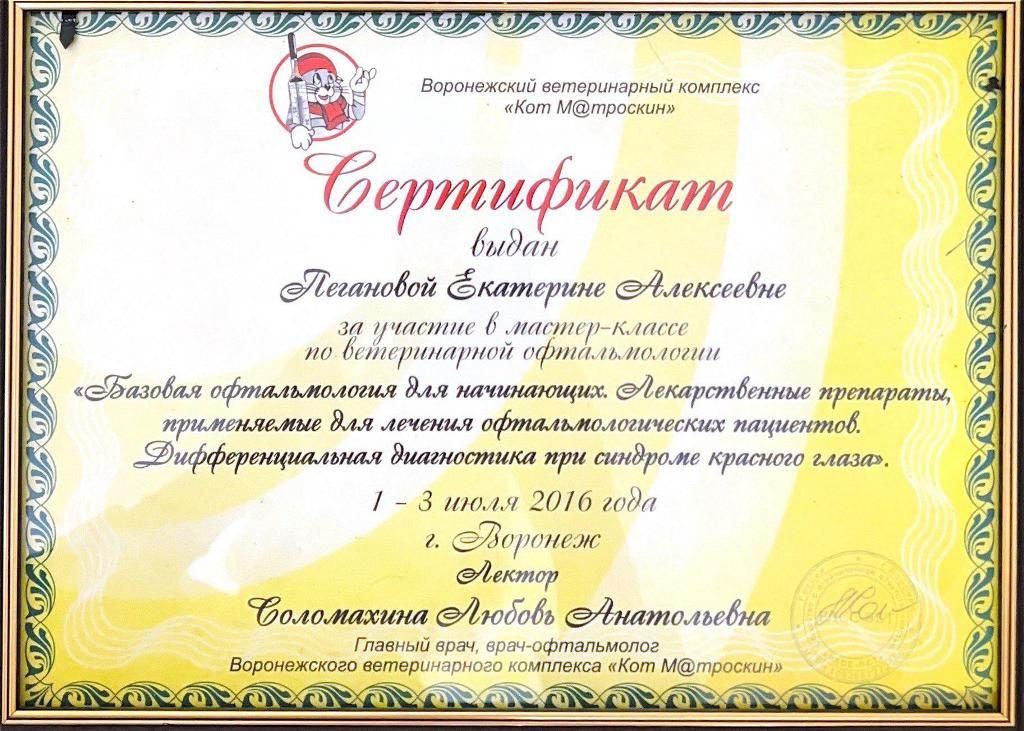 Документ или сертификат