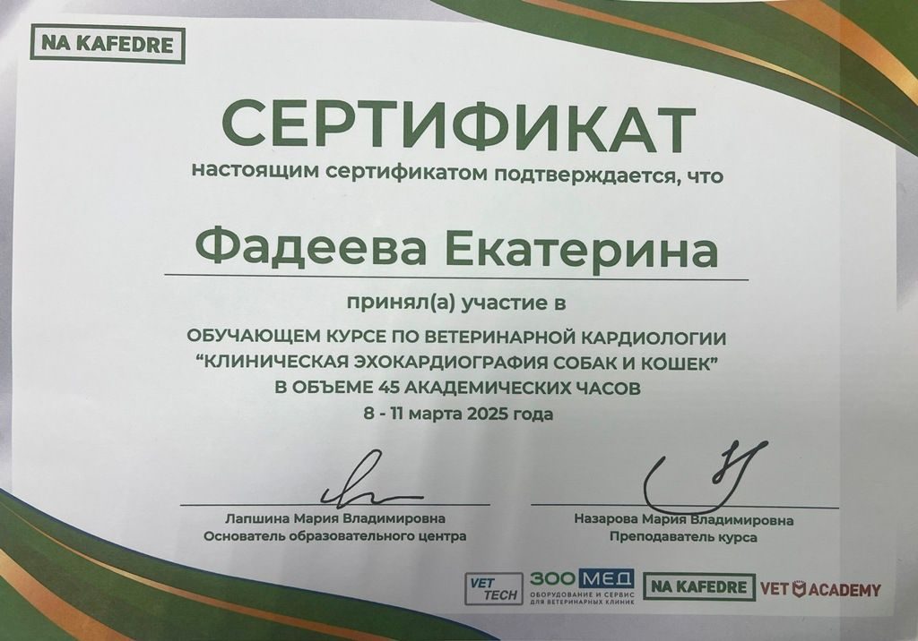 Документ или сертификат