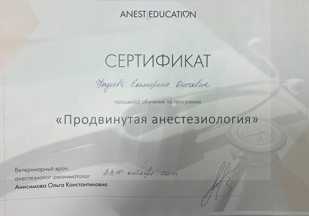 Документ или сертификат