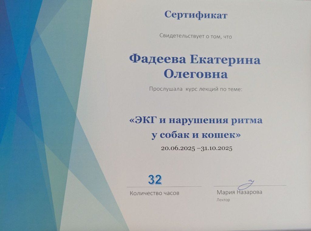 Документ или сертификат