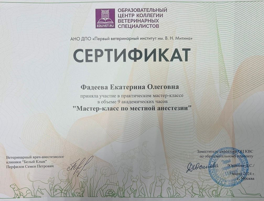 Документ или сертификат