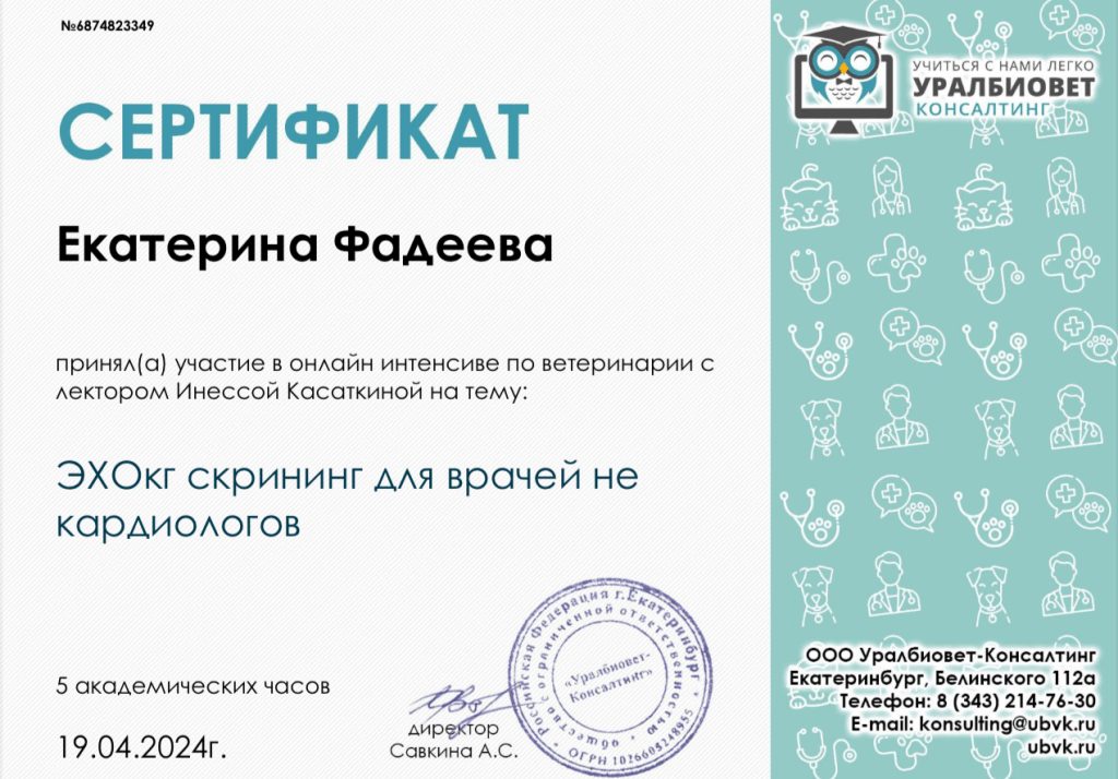 Документ или сертификат