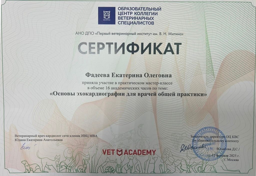 Документ или сертификат