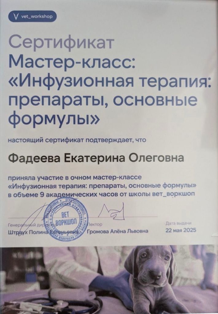 Документ или сертификат