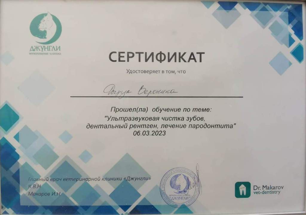 Документ или сертификат
