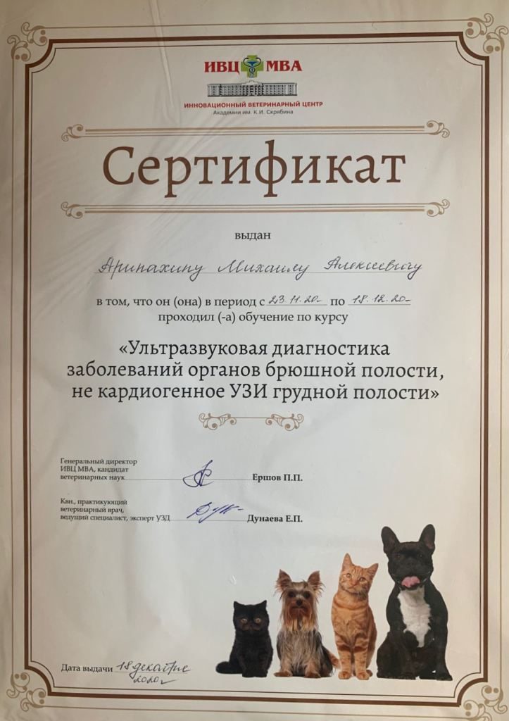 Документ или сертификат