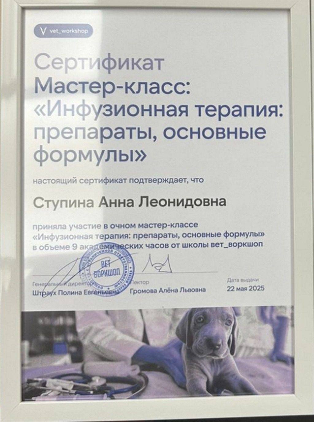 Документ или сертификат