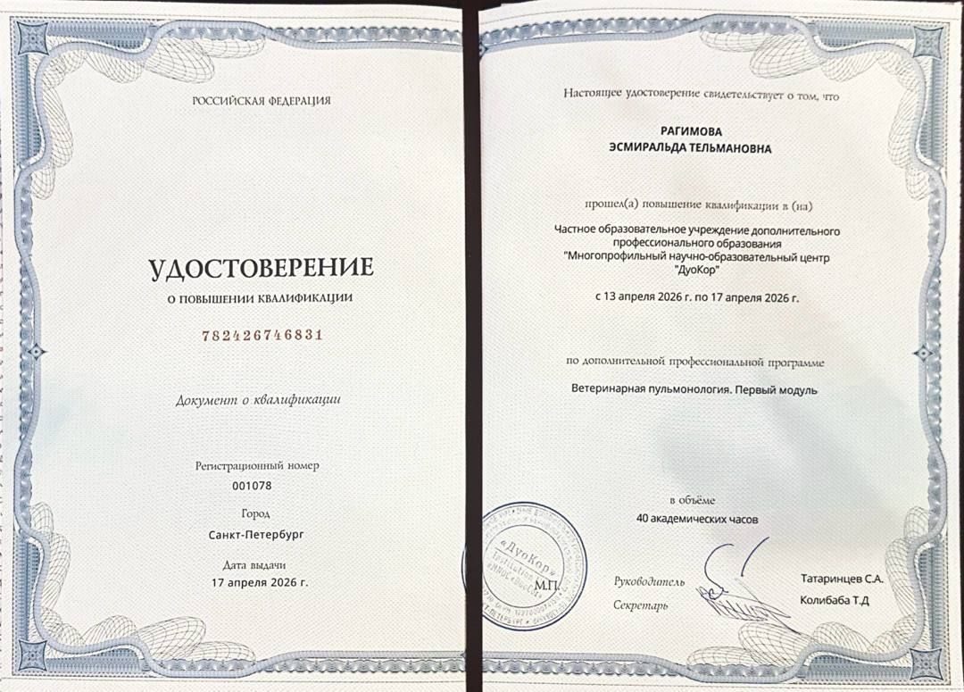 Документ или сертификат