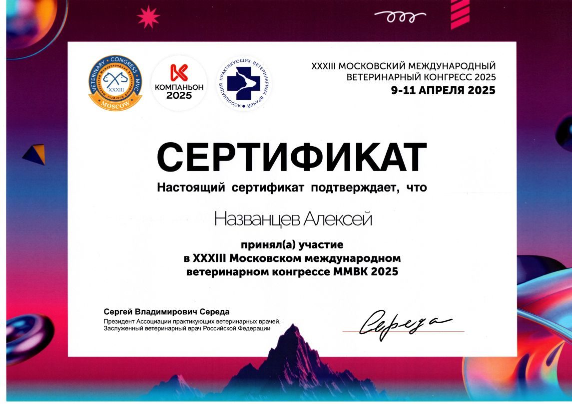 Документ или сертификат
