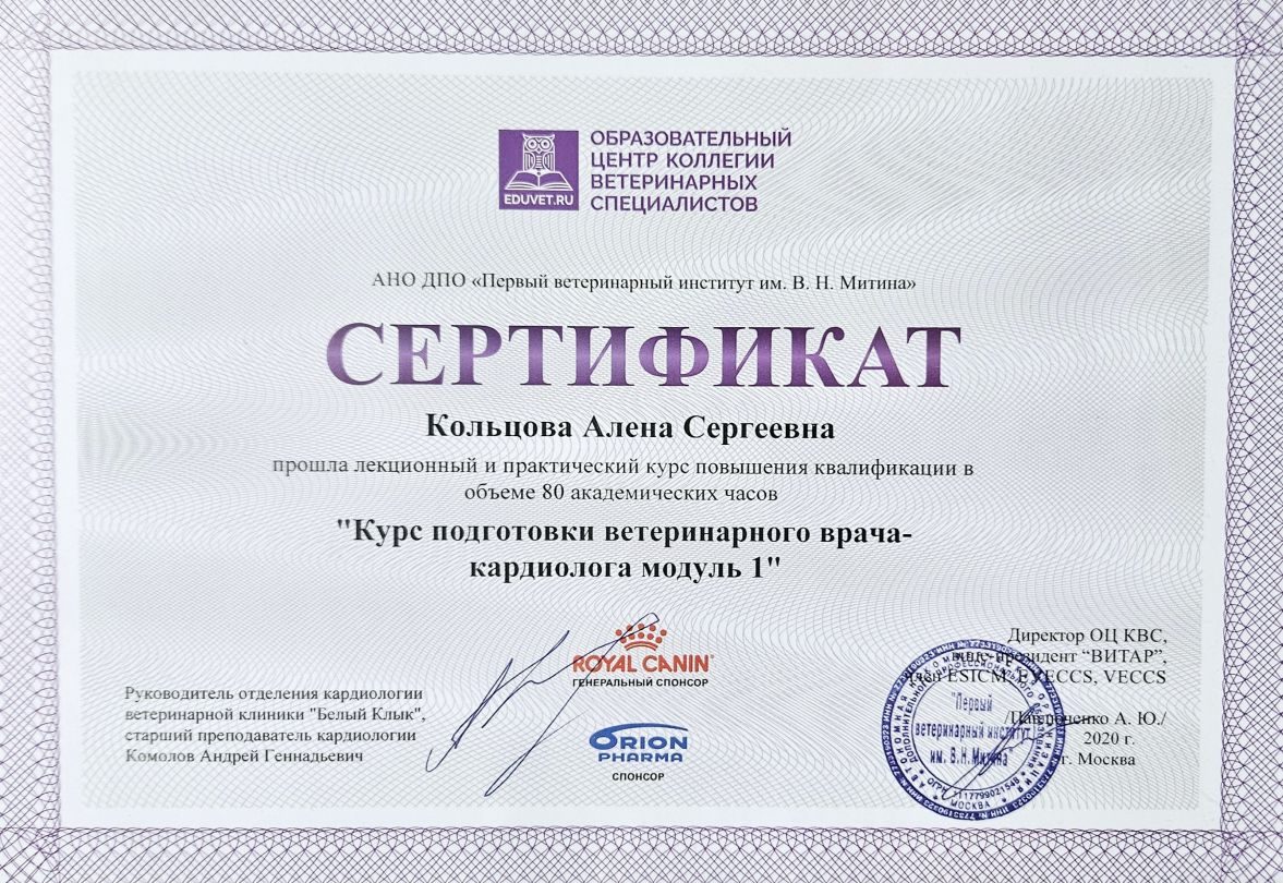 Документ или сертификат