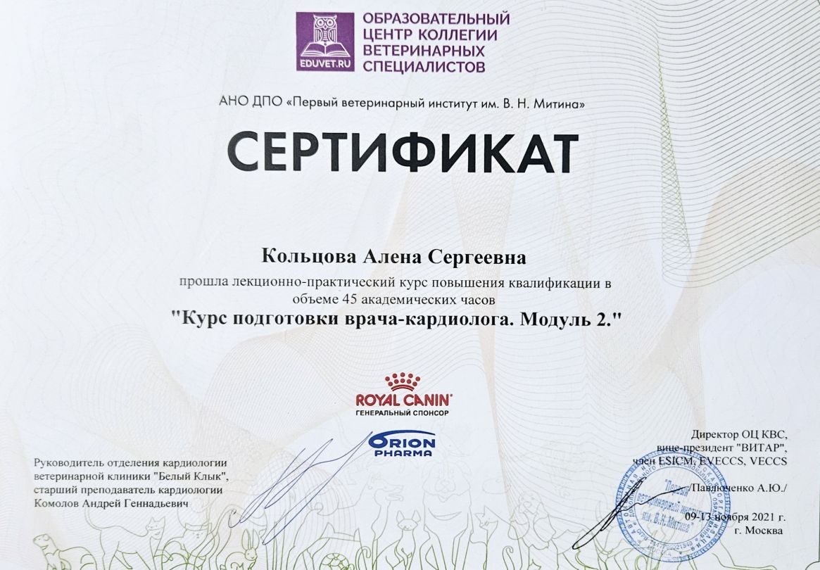 Документ или сертификат