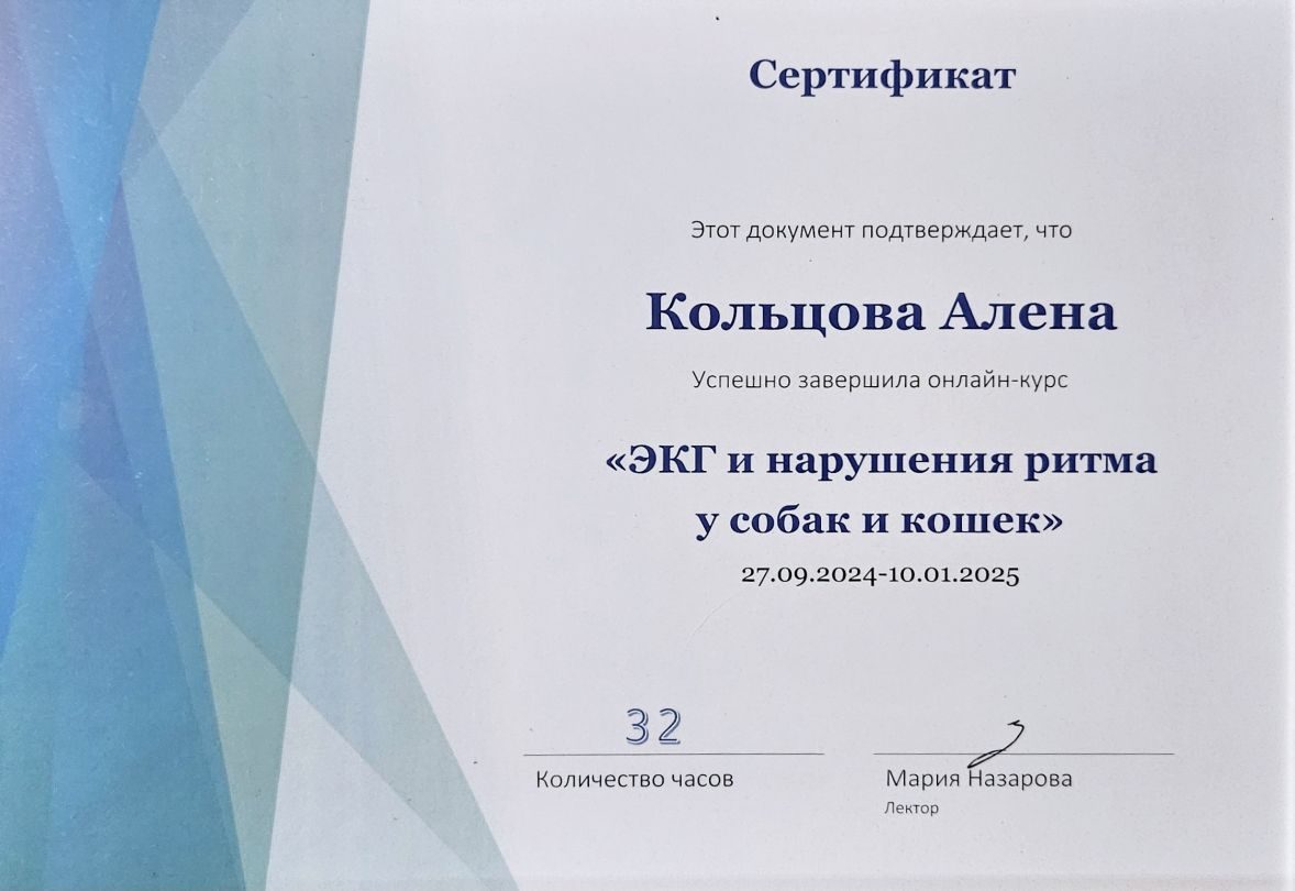 Документ или сертификат