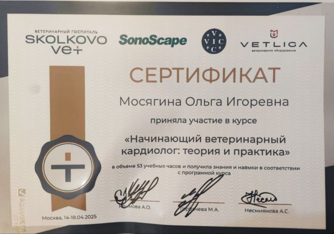 Документ или сертификат