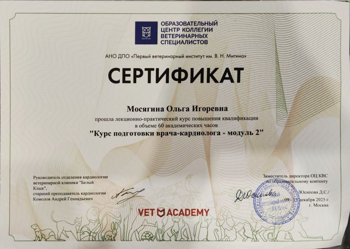 Документ или сертификат
