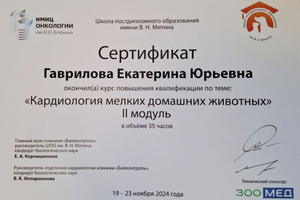 Документ или сертификат