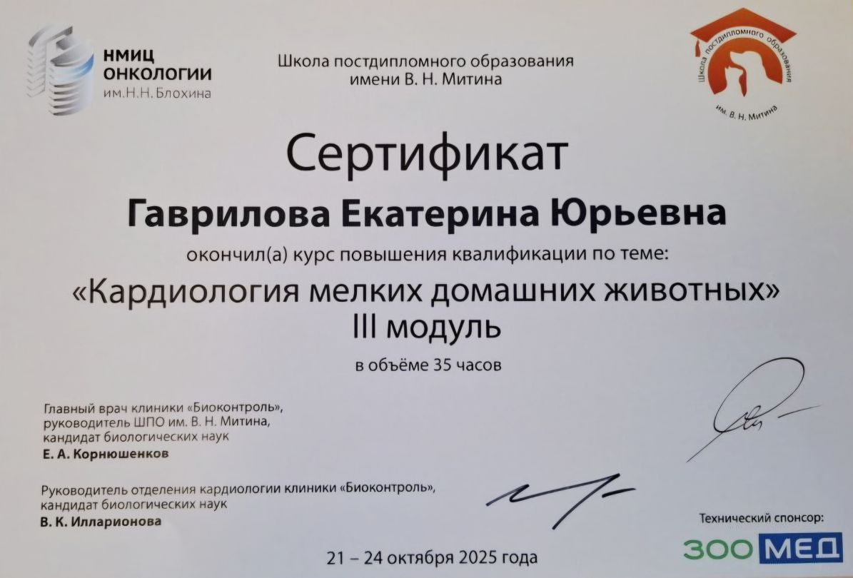 Документ или сертификат
