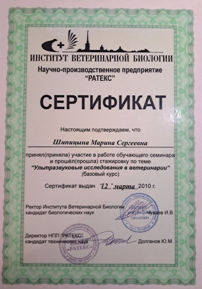 Документ или сертификат