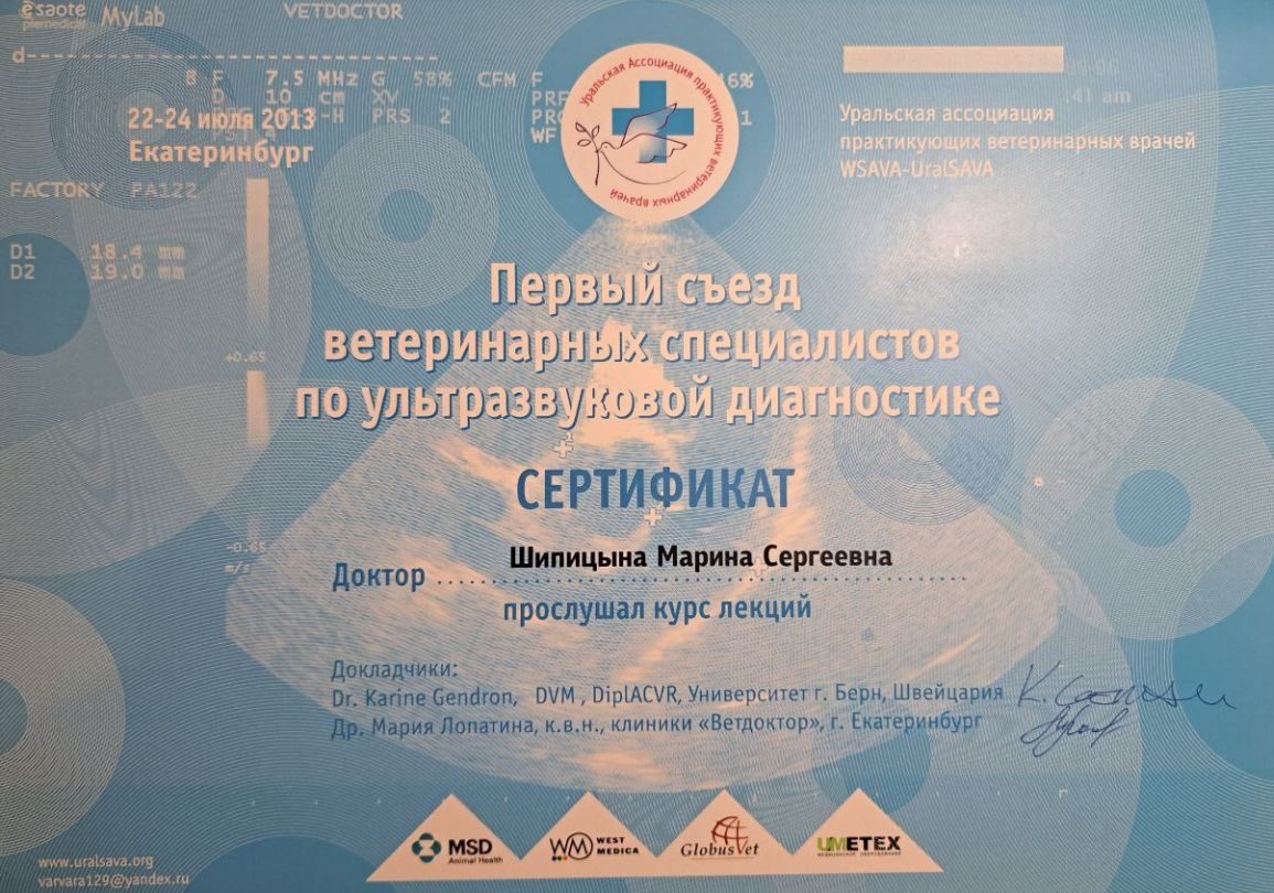 Документ или сертификат