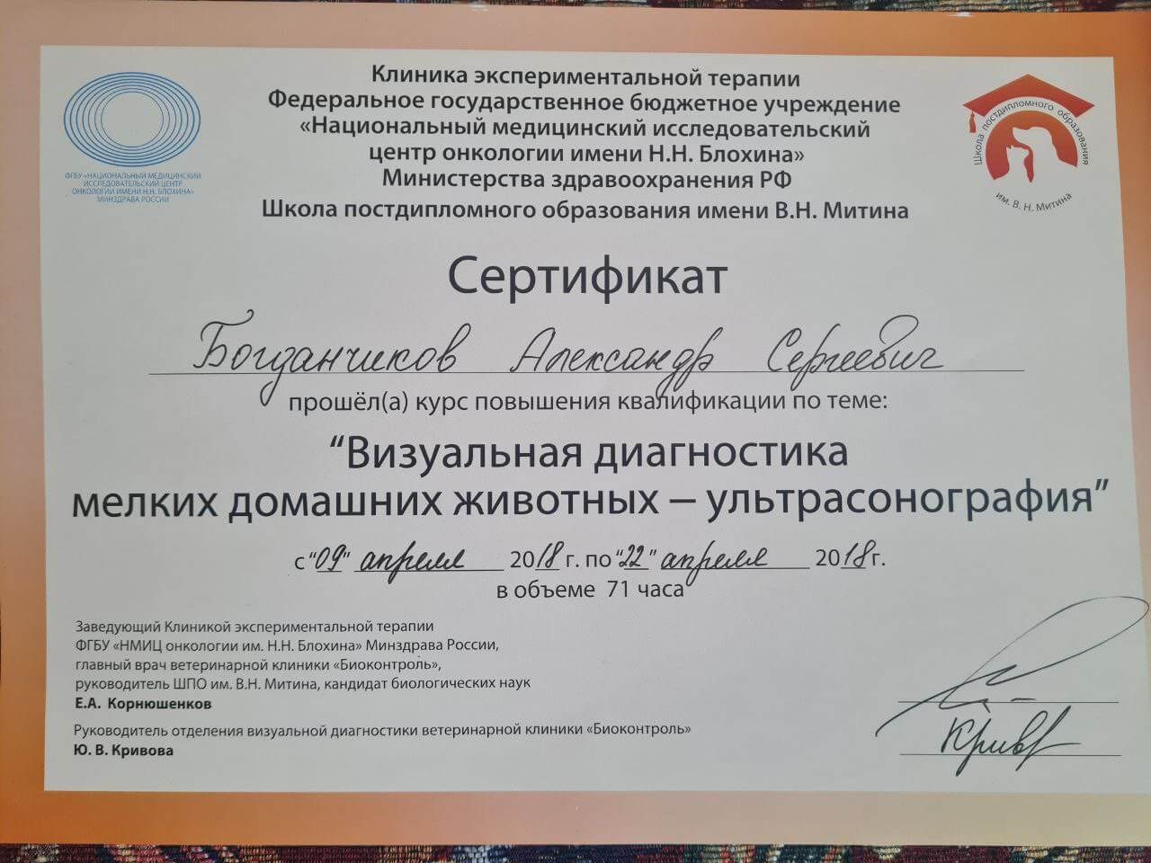 Документ или сертификат