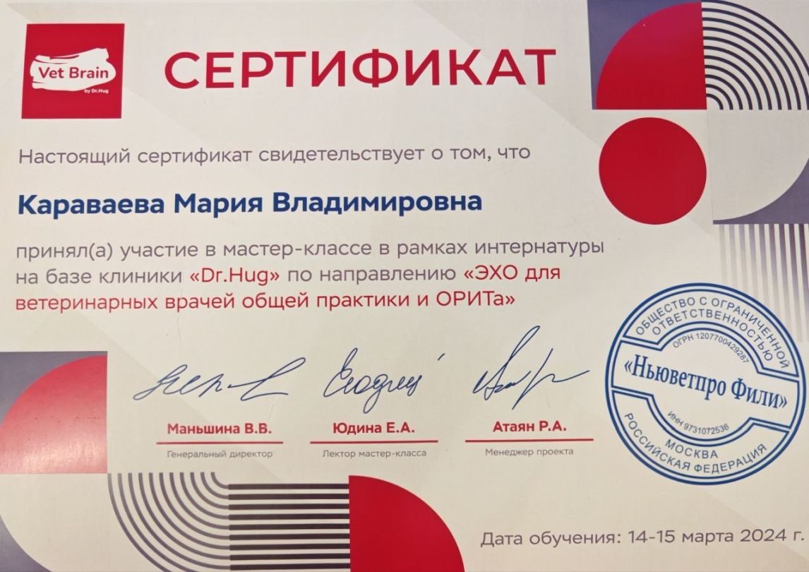 Документ или сертификат
