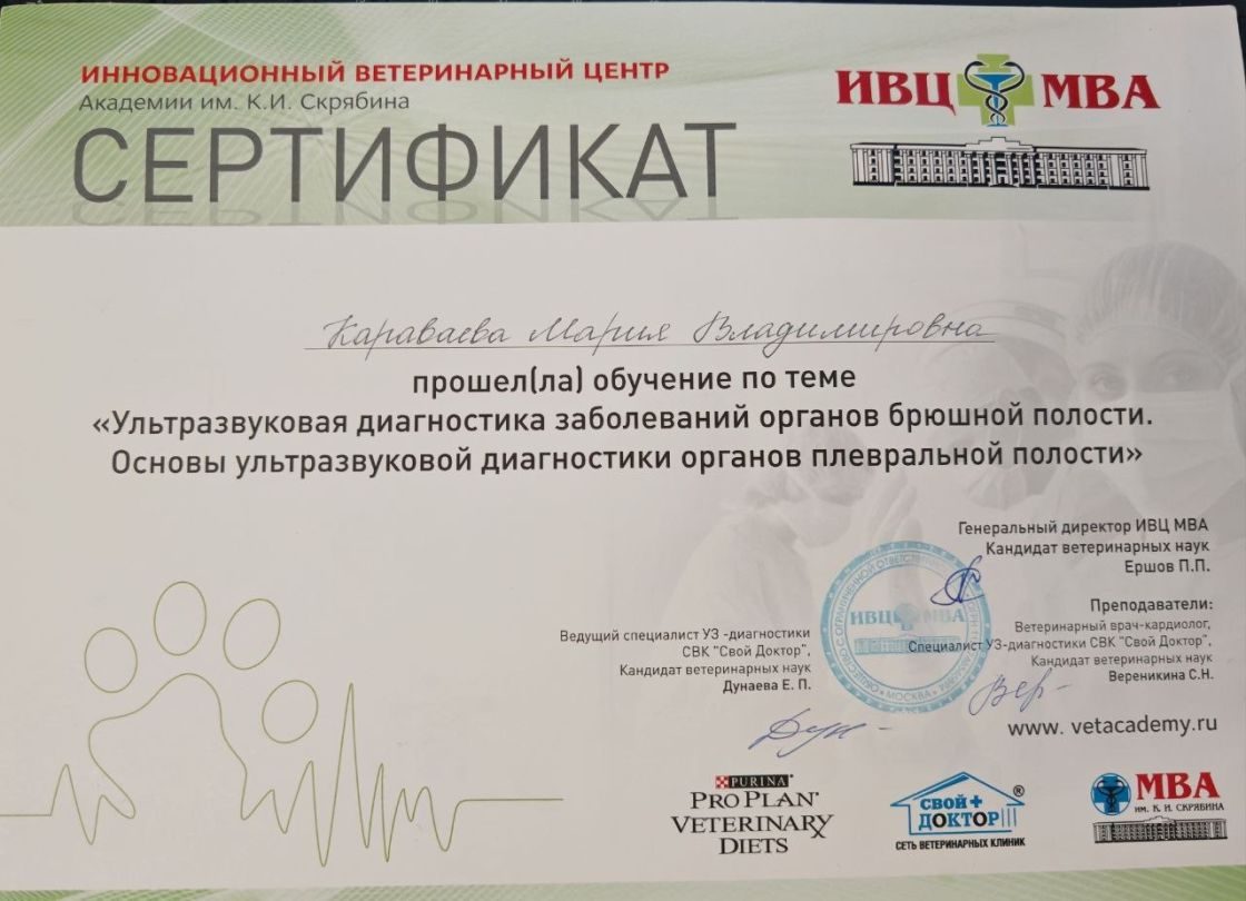 Документ или сертификат