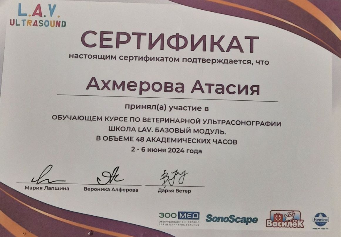 Документ или сертификат