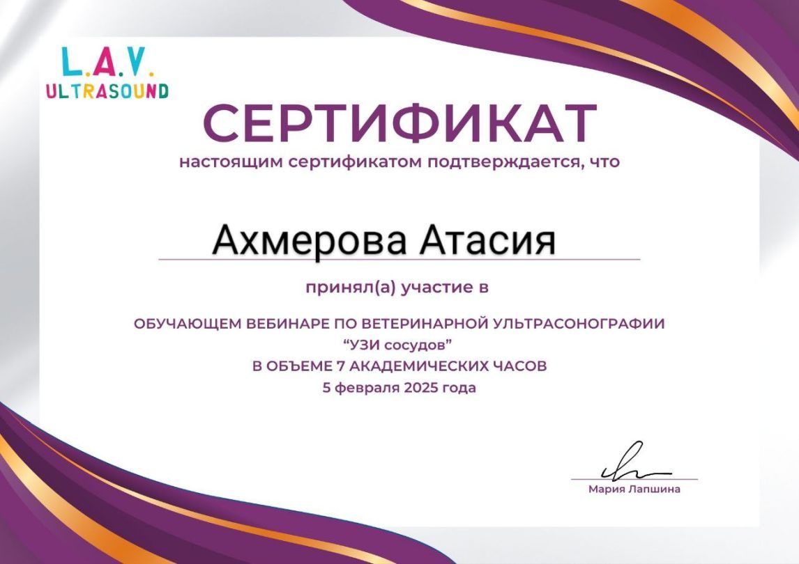 Документ или сертификат