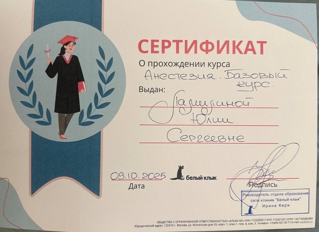 Документ или сертификат