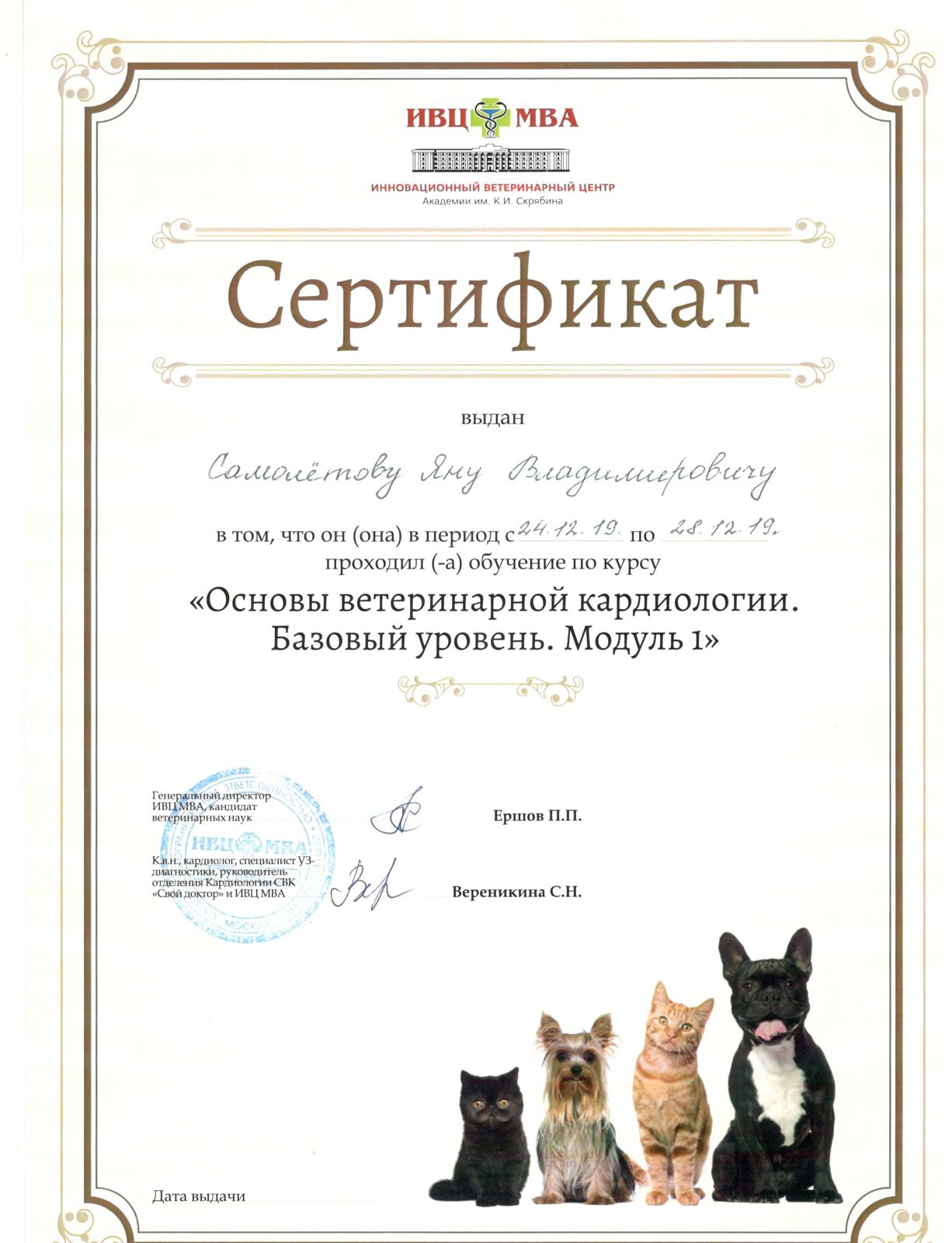 Документ или сертификат