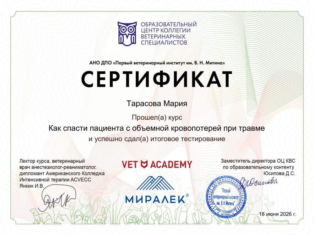 Документ или сертификат