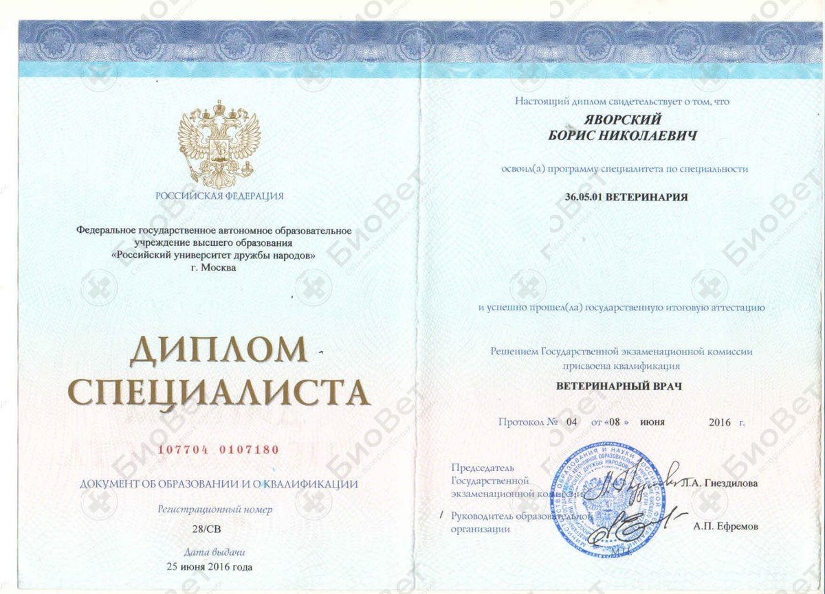 Документ или сертификат