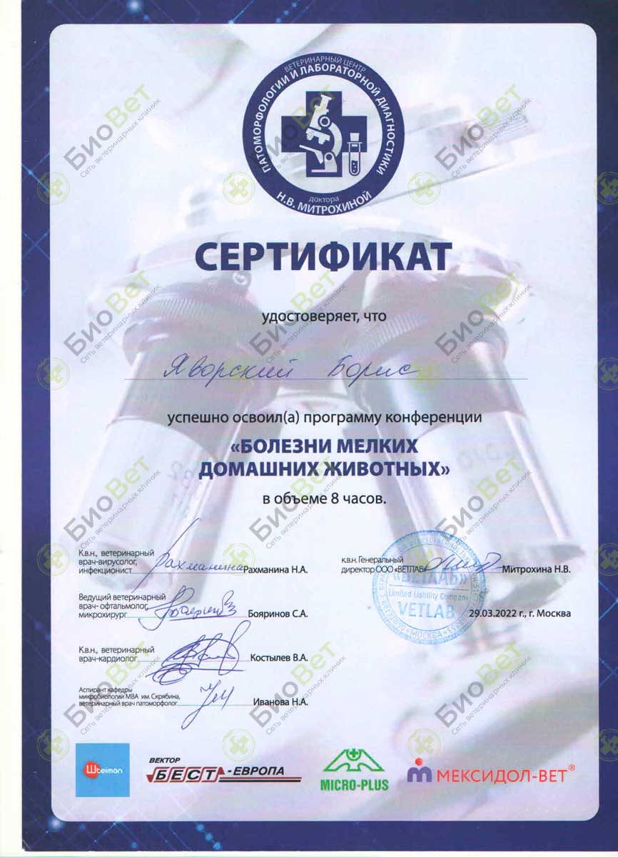Документ или сертификат