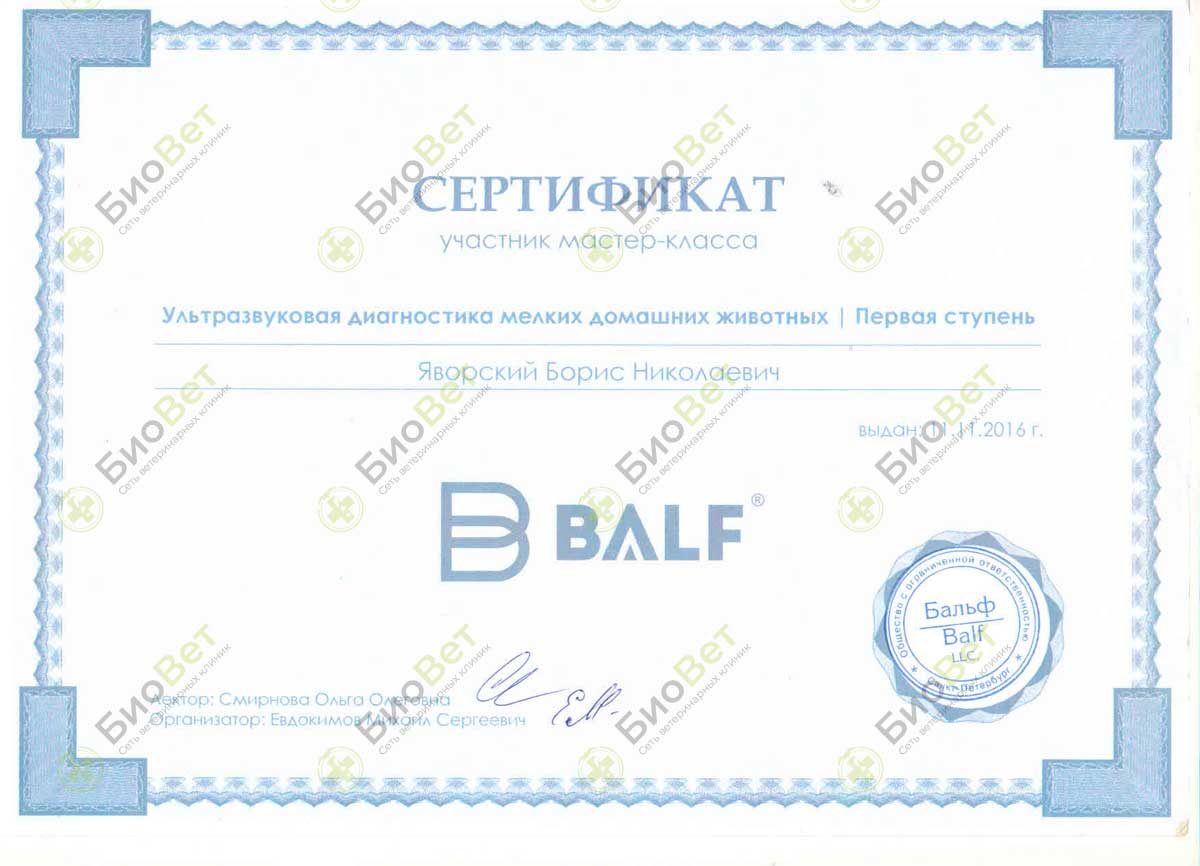 Документ или сертификат
