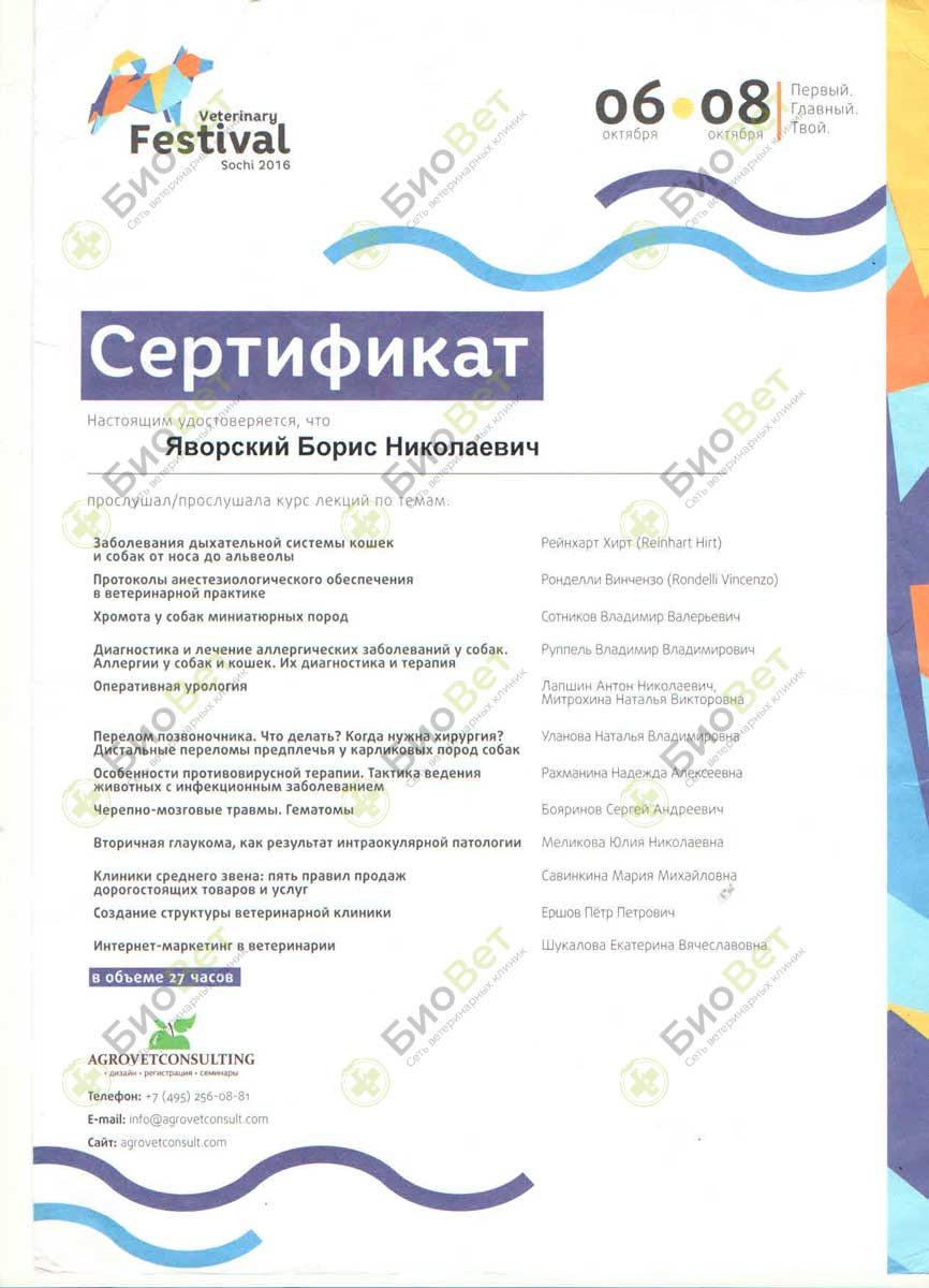 Документ или сертификат
