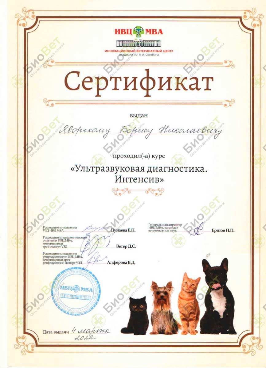 Документ или сертификат