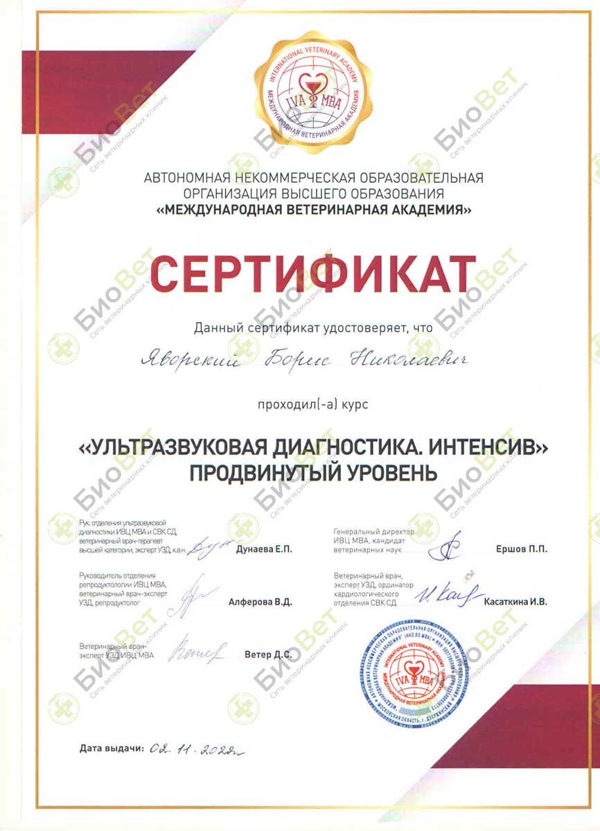Документ или сертификат