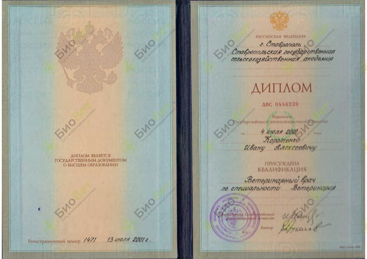 Документ или сертификат