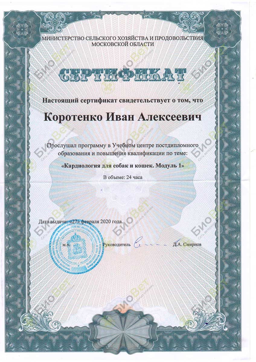 Документ или сертификат
