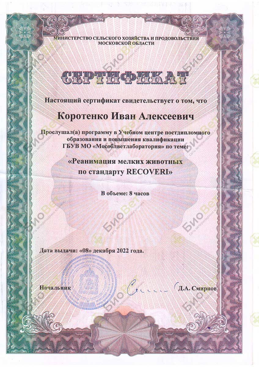 Документ или сертификат