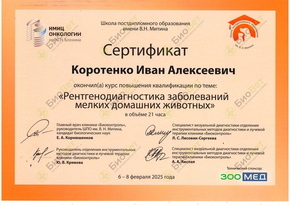 Документ или сертификат