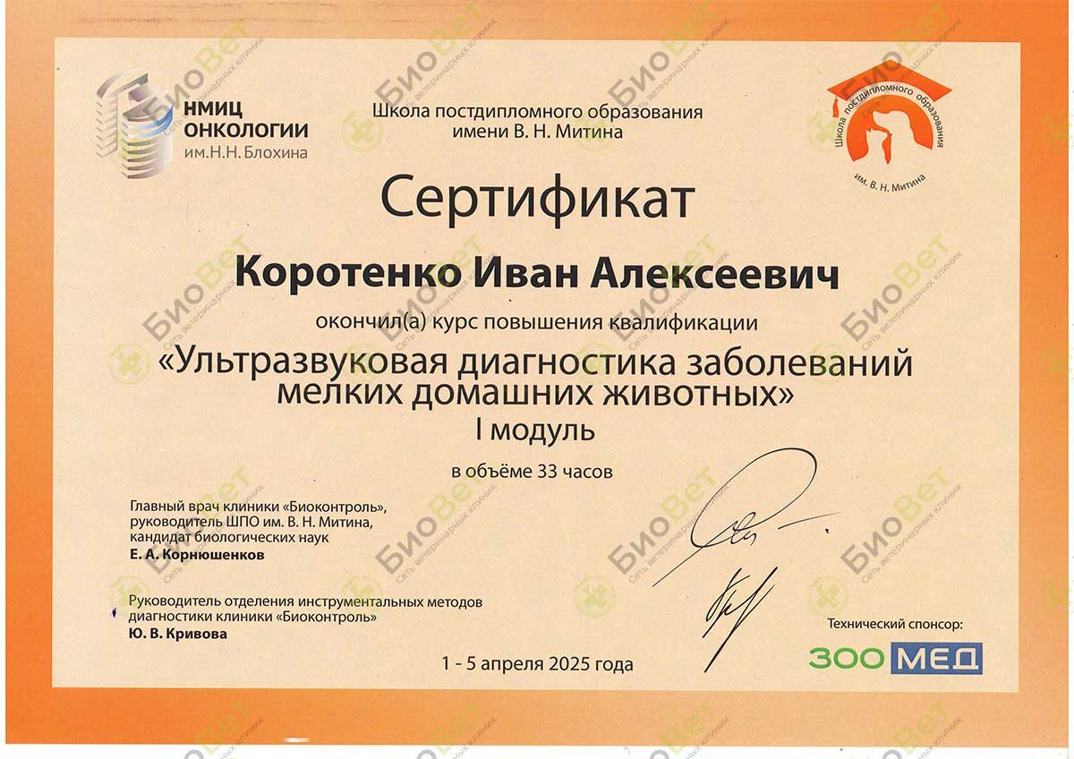 Документ или сертификат